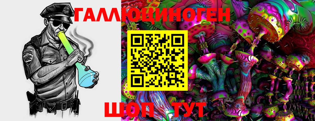 Галлюциногенные грибы мицелий  Вход с VPN  где купить   Сальск 